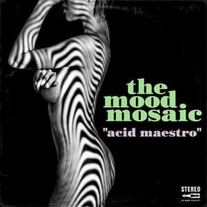 Acid Maestro (Morricones Cosmic Funk Legacy)