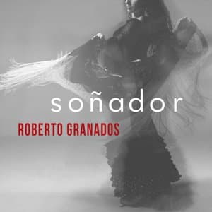 Sonador