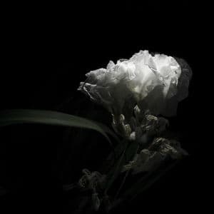 Tell Me True (feat. Adriel Denae)