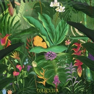 Colectiva