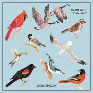 All the Light in Autumn