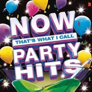 Now Thats What I Call Party Hits