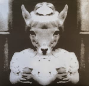 Amaterasu + Tsukuyomi