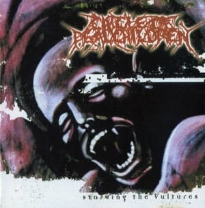 Starving The Vultures