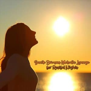 Gentle Dreams Melodic Lounge for Restful Nights