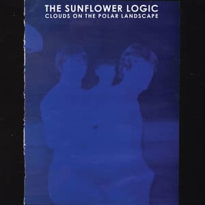 Clouds On The Polar Landscape