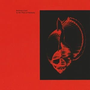 In the Place of Harmony