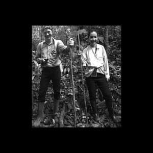 Field Recordings In The Forest Of Colombia