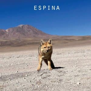 Espina