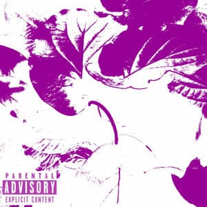 Autonomous Sensory Meridian Response