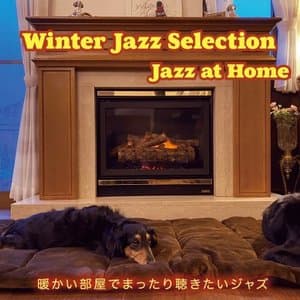 WINTER JAZZ SELECTION - Jazz at home