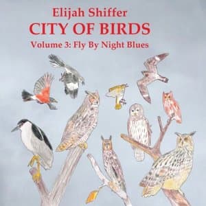 City Of Birds, Volume 3: Fly By Night Blues