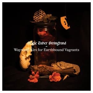 Wayward Airs for Earthbound Vagrants