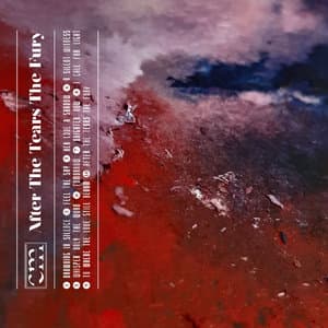 After The Tears The Fury