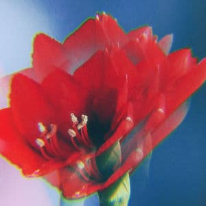 Live at The Fixin' To