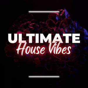 Ultimate House Vibes: Unforgettable Beats & Energizing Melodies