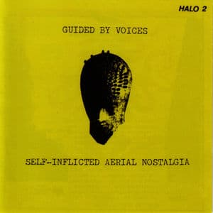 Self-Inflicted Aerial Nostalgia