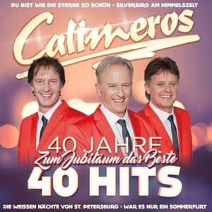 40 Jahre 40 Hits - Zum Jubilaum das Beste