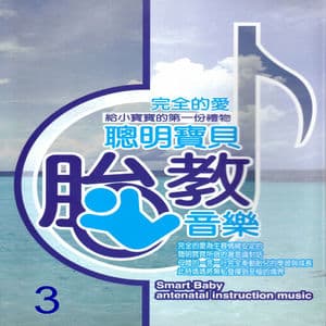 聰明寶貝胎教音樂 3 (Smart baby antenatal instruction music)