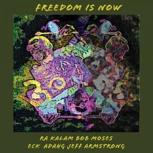 Freedom is Now