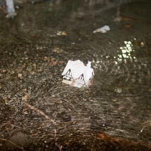 Still Waters, Empty House