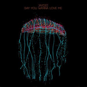 Say You Wanna Love Me