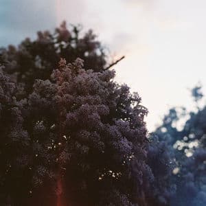 Death Is Not the End EP