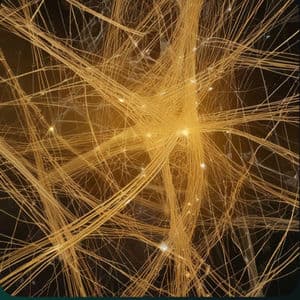 If These Walls Could Talk