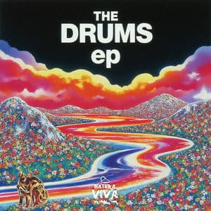 The Drums