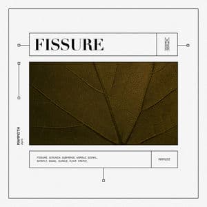 Fissure