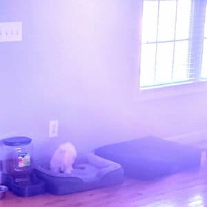 Rockstar Boyfriend (Tape 1)