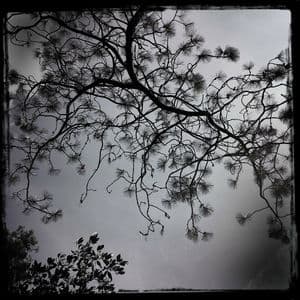 Treasure Of Stars (Streams Of Consciousness)