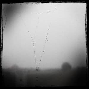 Streams Of Consciousness 250601