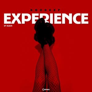 Experience