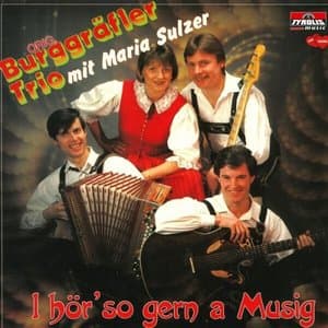 I hor so gern a Musig