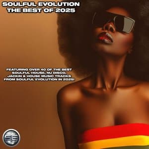 Soulful Evolution The Best Of 2025