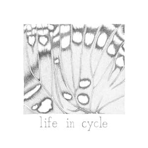 life in cycle