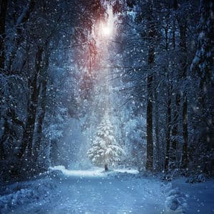 Carol of the Bells (Carol of the Bells)