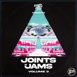 Joints n Jams, Vol. 3 (Curated By Shaka Loves You) [DJ Mix]