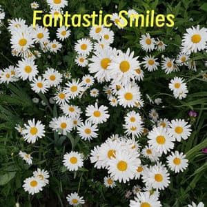 Fantastic Smiles