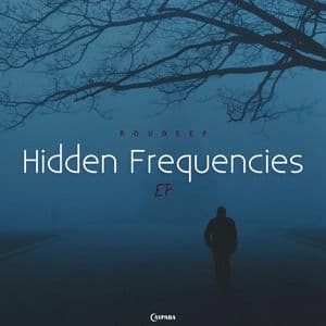 Hidden Frequencies
