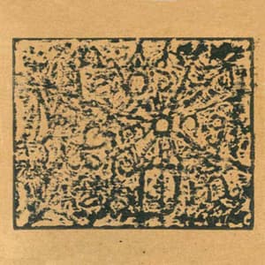 Webs Among The Din - Live 2005