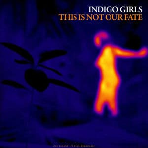 This Is Not Our Fate (Live)