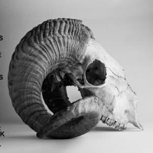 Hewers Of Wood And Drawers Of Water