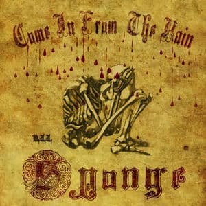 Come In From The Rain