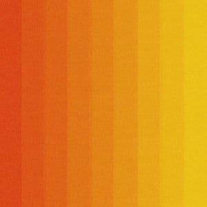 Sensory Alignment: Composed for Calm