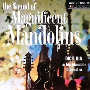 The Sound of Magnificent Mandolins