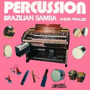 Percussion Brazilian Samba