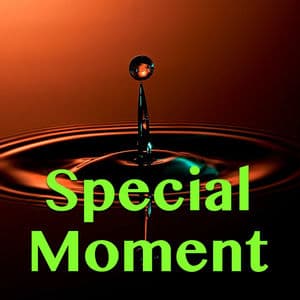 Special Moment