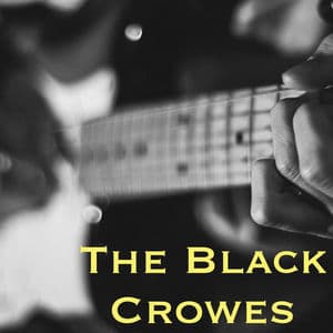 The Black Crowes featuring Jimmy Page - Westwood 1 FM Broadcast Star Lake Amphitheater Pittsburg PA 28th June 2000 Part Four.